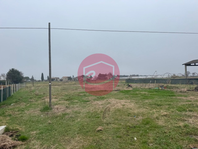 Sant'Angelo in Salute - Terreno