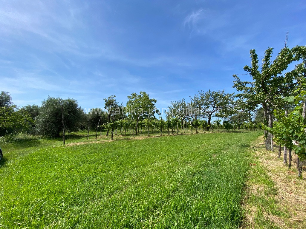 Rustico in Vendita a Cinto Euganeo