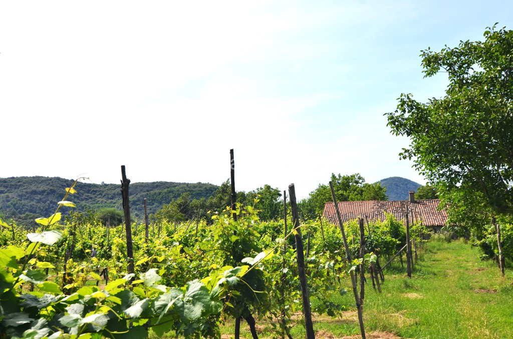 Rustico in Vendita a Cinto Euganeo