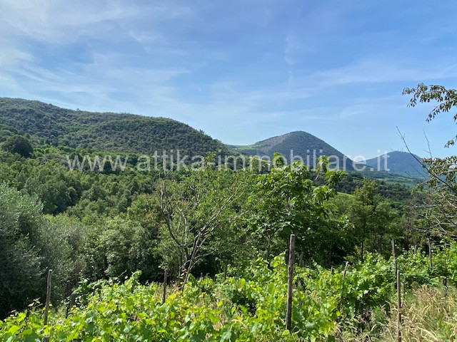 Rustico in Vendita a Cinto Euganeo