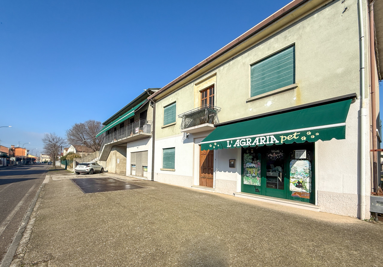 Abitazione, negozio, ufficio, magazzini e tettoie in vendita a Arcole — foto 2