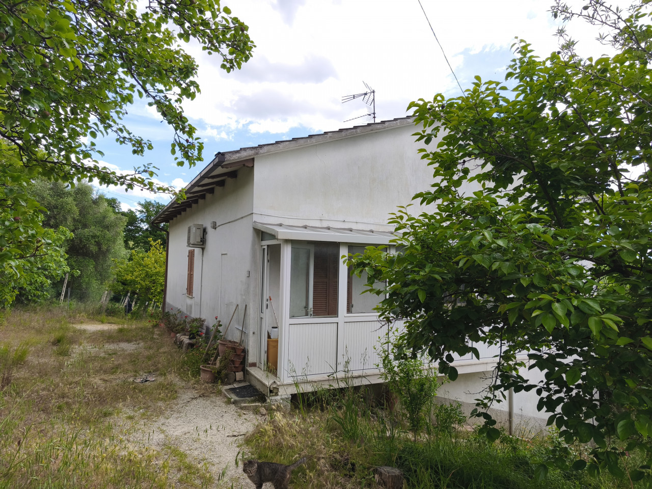 Casa singola