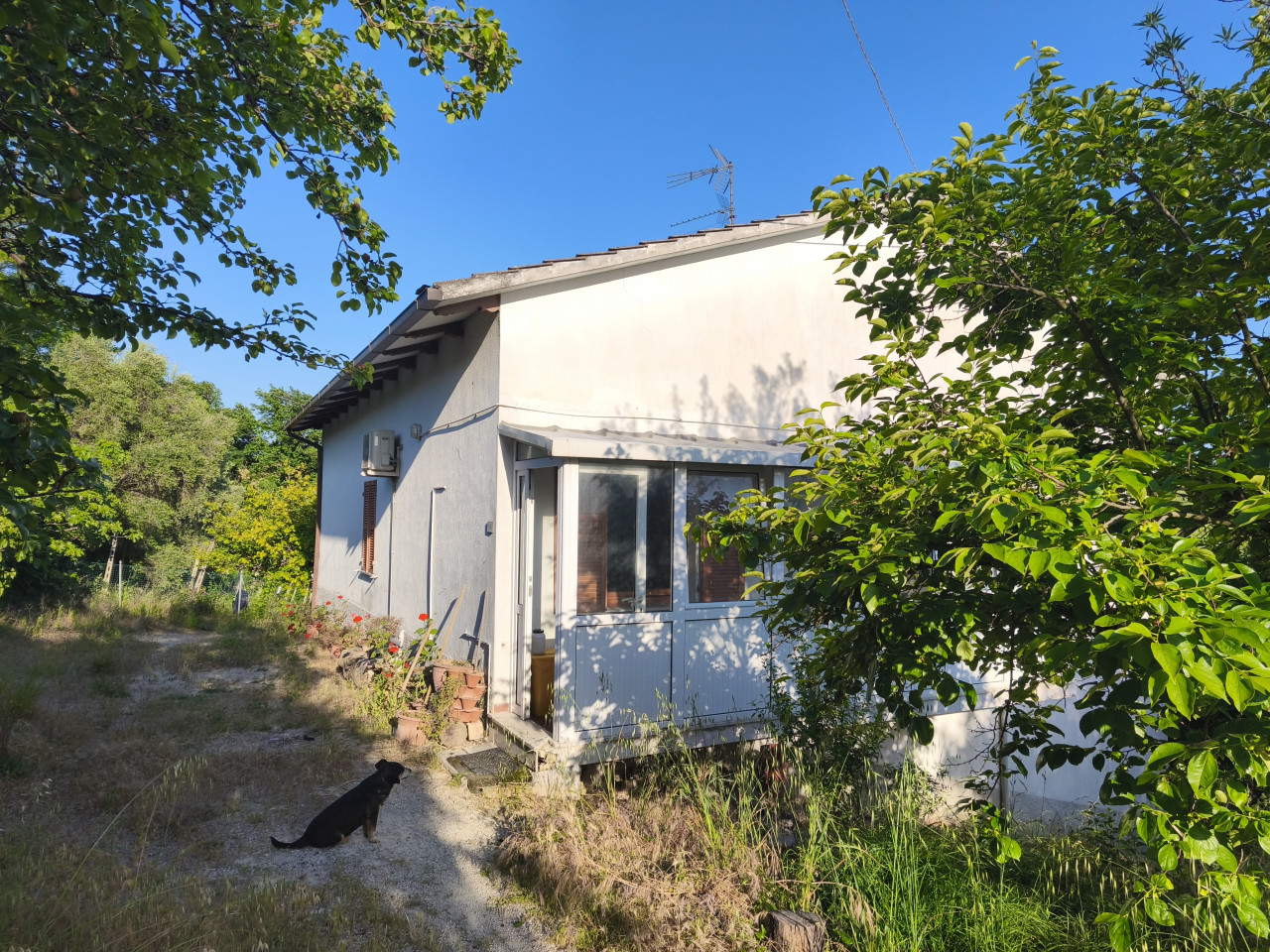 Casa singola