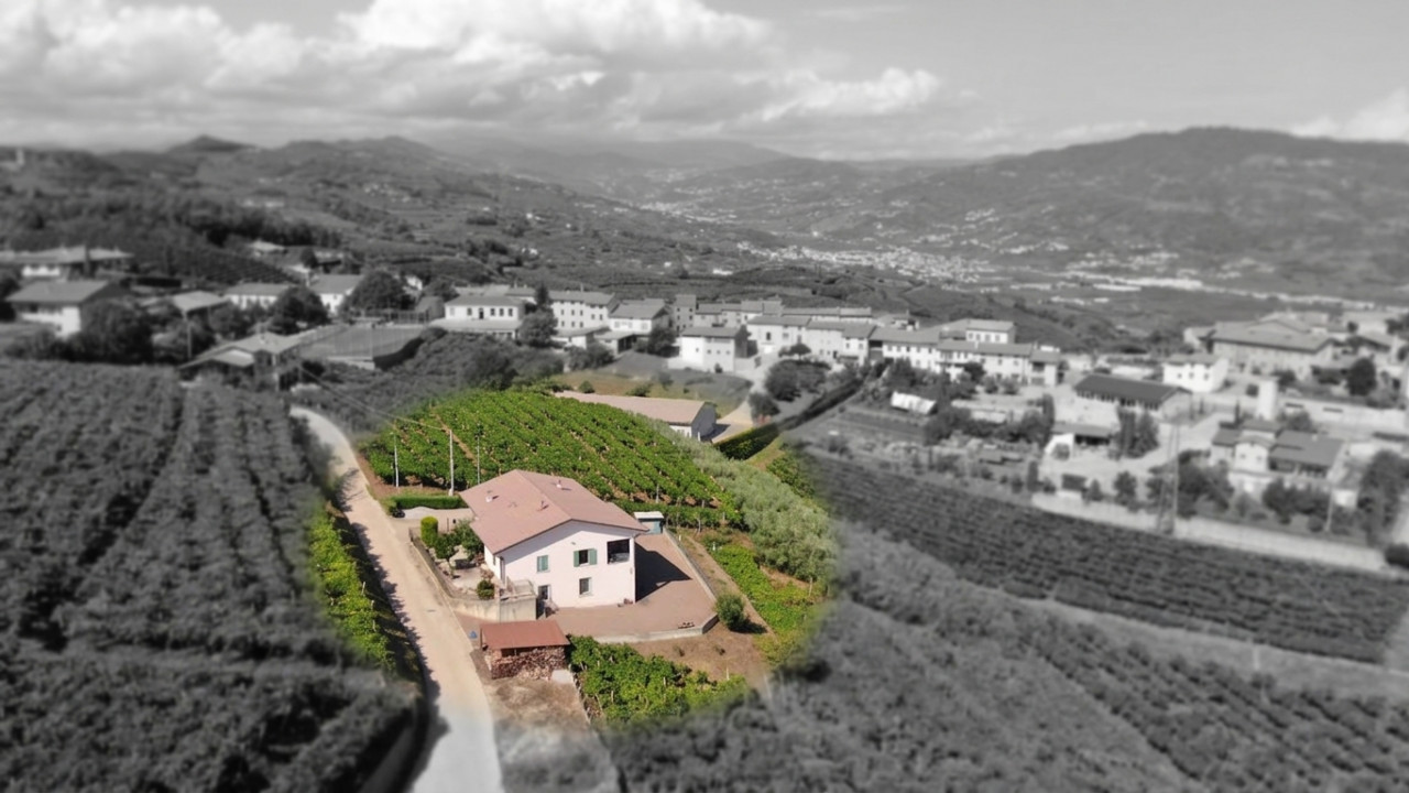 Fittà di Soave – Casa singola con vista panoramica sui vigneti in vendita a Soave — foto 2