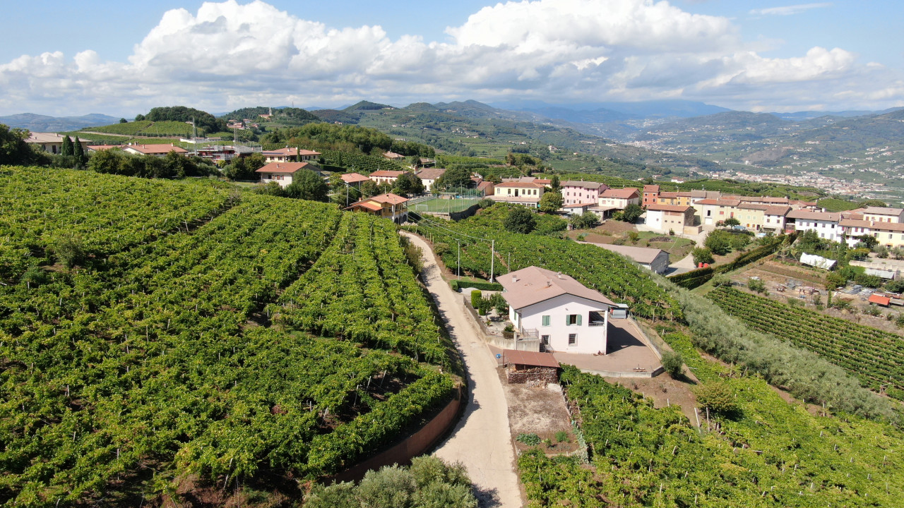Fittà di Soave – Casa singola con vista panoramica sui vigneti in vendita a Soave — foto 4