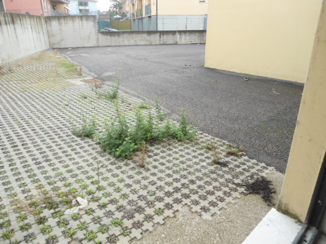 locale laboratorio magazzino con piazzale in vendita a San Bonifacio — foto 6