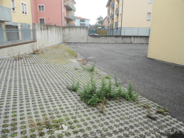 locale laboratorio magazzino con piazzale in vendita a San Bonifacio — foto 7