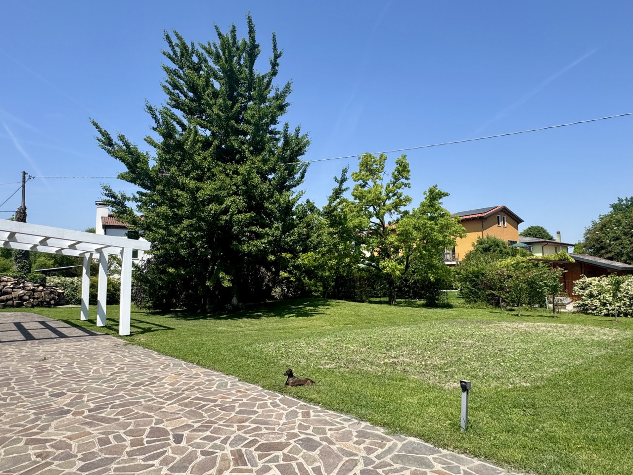 Casa singola in Vendita a Fiesso d'Artico