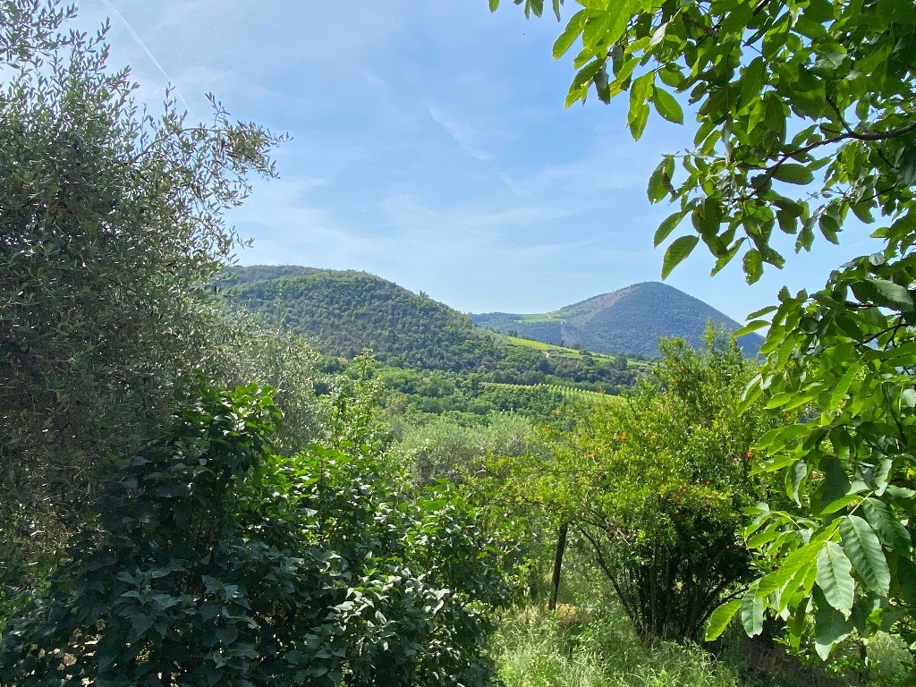 Rustico in Vendita a Cinto Euganeo