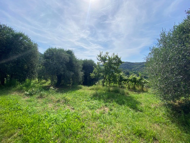 Rustico in Vendita a Cinto Euganeo
