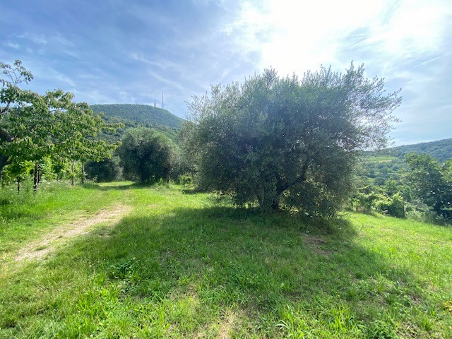 Rustico in Vendita a Cinto Euganeo