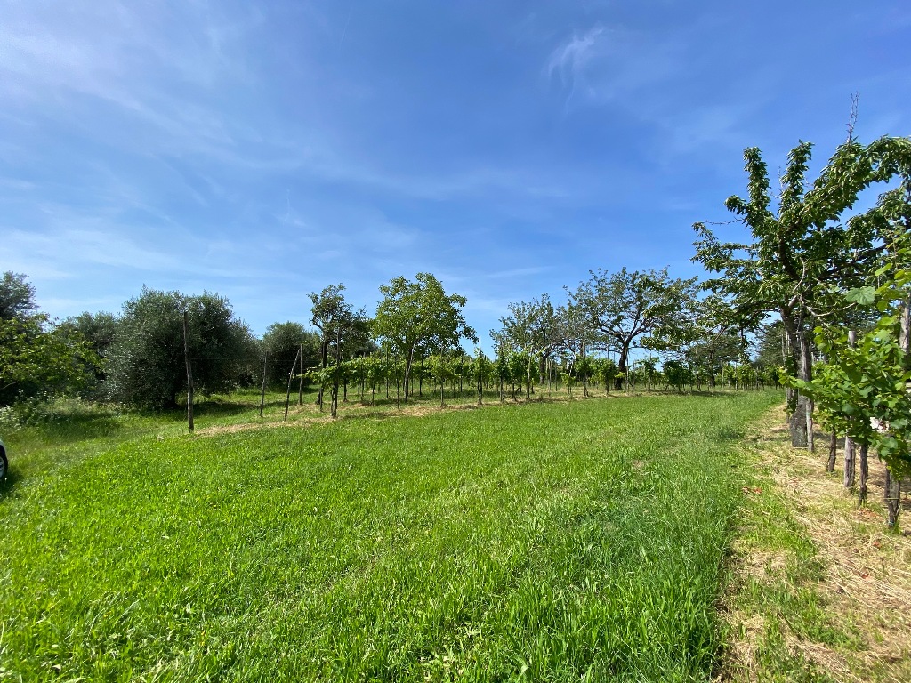 Rustico in Vendita a Cinto Euganeo
