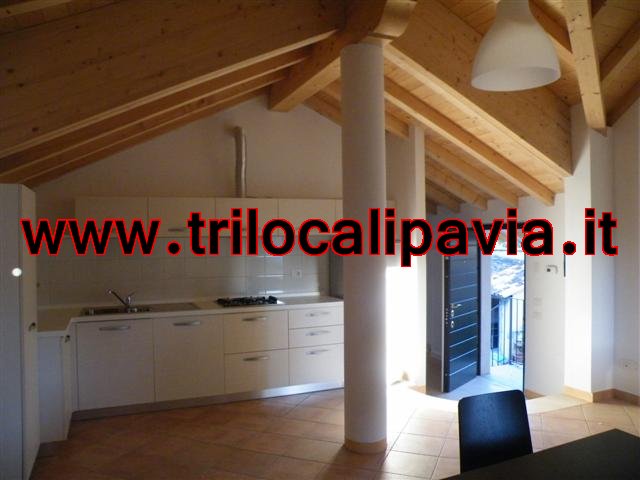 Pavia Affitto Appartamento trilocale