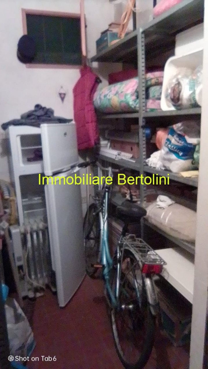 immagine annuncio 12 di 14