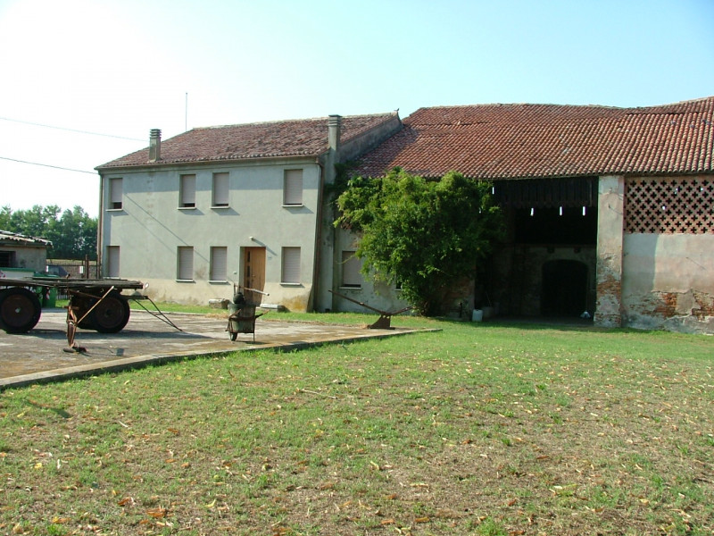 Villamarzana Vendita Rustico casale