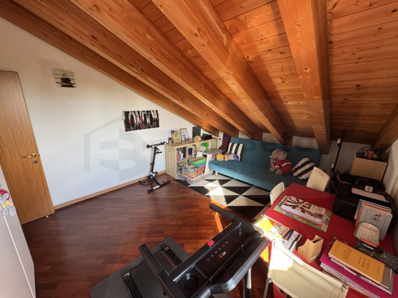 Situato nel quartiere di San Lazzaro nelle immediate vicinanze al futuro nuovo ospedale, proponia...