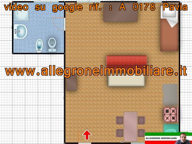 Pavia Affitto Appartamento monolocale