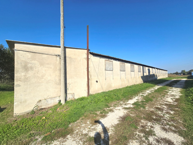 Laboratorio in Vendita a Fosso'