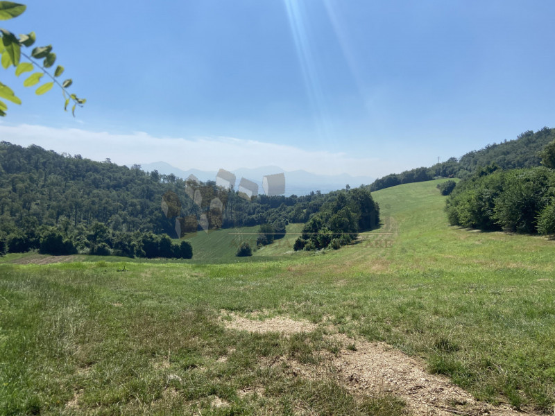 Ampia proprietà agricola collinare di circa 40 ettari,  pari a campi vic. 103 circa, comprendente...