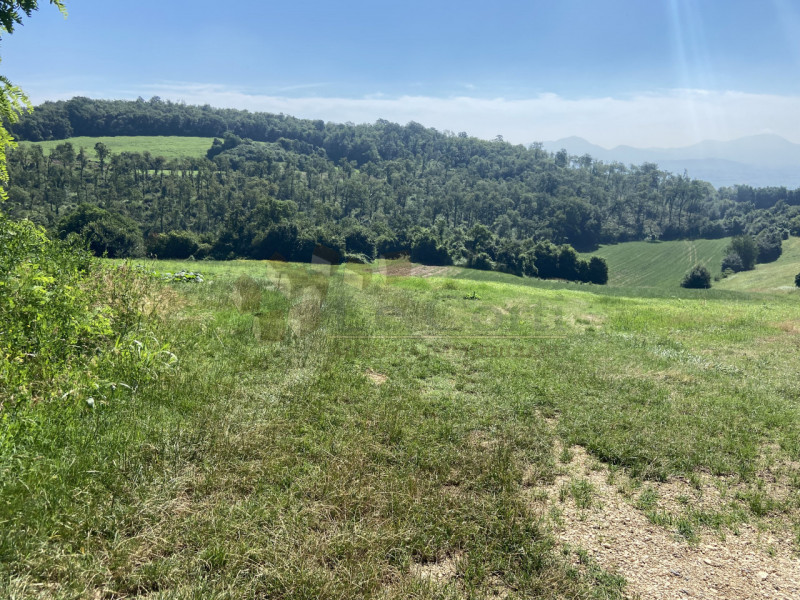 Ampia proprietà agricola collinare di circa 40 ettari,  pari a campi vic. 103 circa, comprendente...