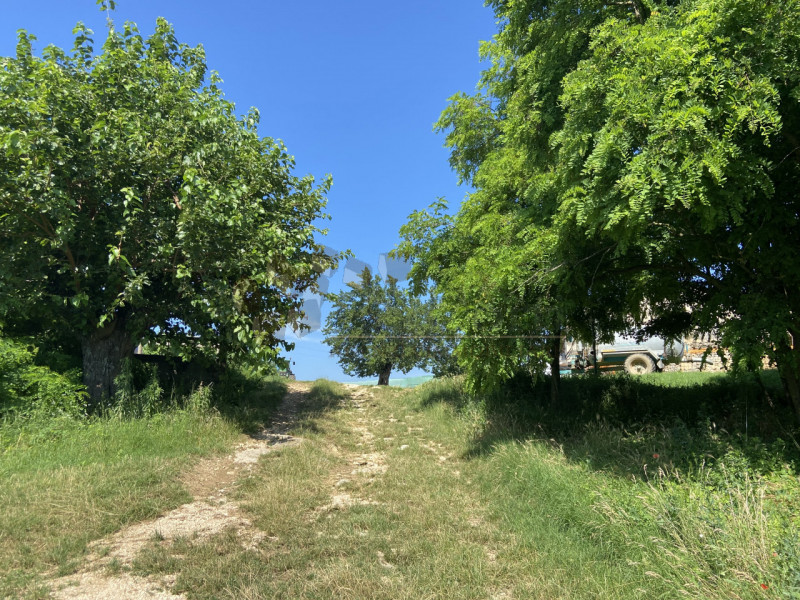 Ampia proprietà agricola collinare di circa 40 ettari,  pari a campi vic. 103 circa, comprendente...