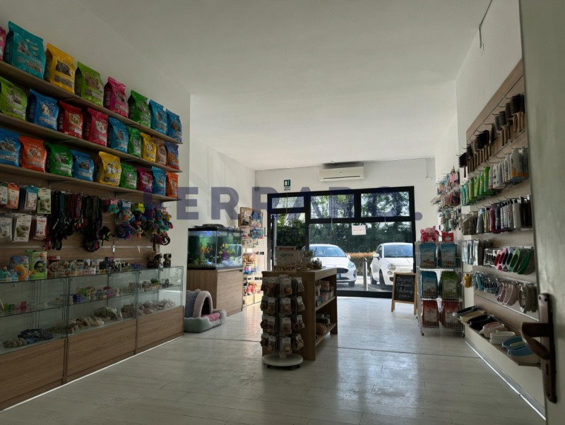 Casier, Dosson. Codice YA3, Proponiamo in affitto un negozio moderno e versatile, situato nel cuo...