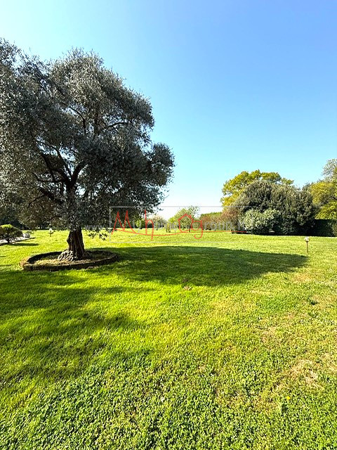 SELVAZZANO - (Rif. V645-S) -  Circondata da un parco di circa 9.000 mq, che garantisce una privac...