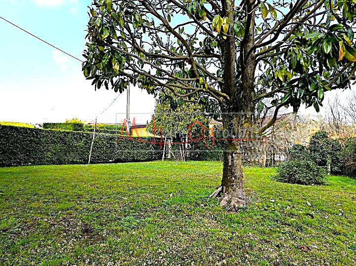 S.DOMENICO - (Rif.V820-s) - casa singola da rimodernare, disposta su livelli e circondata da un m...