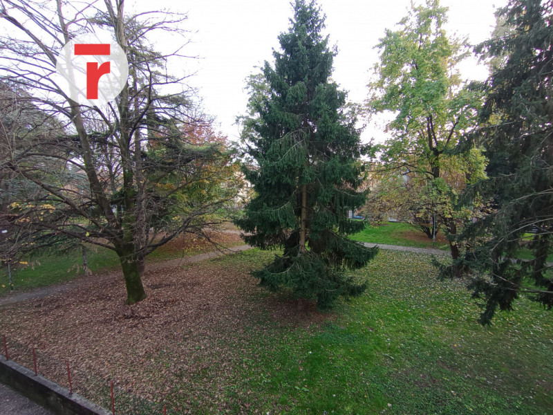 In zona San Bellino, in una via interna e silenziosa, a pochi passi dal centro del quartiere e co...