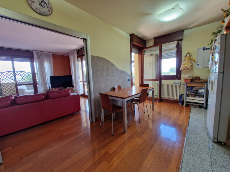 In una delle zone più ricercate di Padova, precisamente nel quartiere San Carlo, proponiamo in ve...