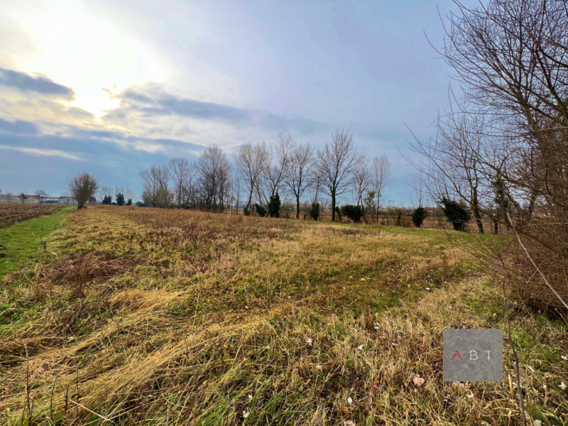 San Giorgio in Bosco Vendita Rustico rudere