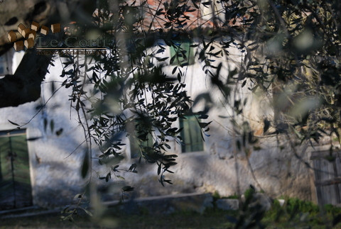 In posizione collinare, soleggiata e tranquilla, proponiamo una bellissima proprietà composta da ...