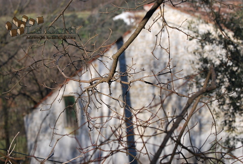 In posizione collinare, soleggiata e tranquilla, proponiamo una bellissima proprietà composta da ...