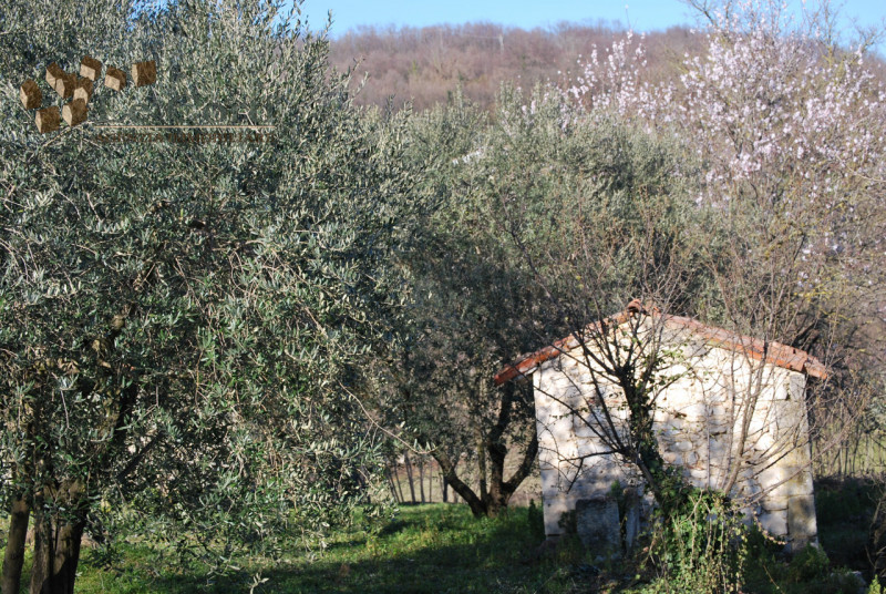 In posizione collinare, soleggiata e tranquilla, proponiamo una bellissima proprietà composta da ...