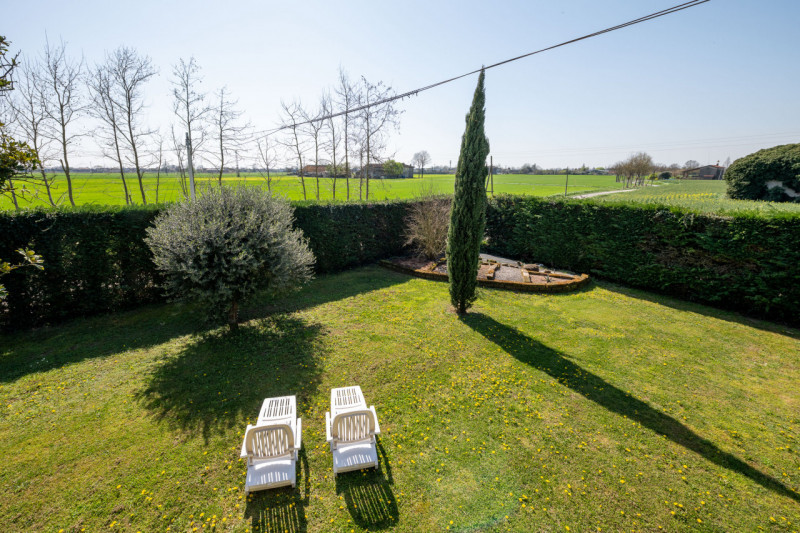 Siamo ai confini tra Monselice e Solesino, vivaio Salmaso Garden come riferimento per identificar...