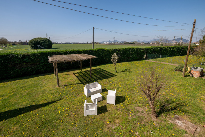 Siamo ai confini tra Monselice e Solesino, vivaio Salmaso Garden come riferimento per identificar...