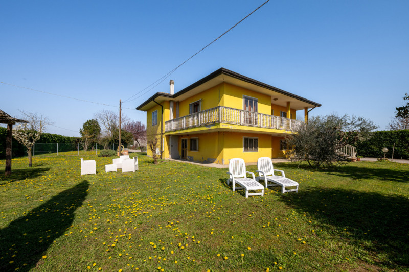 Siamo ai confini tra Monselice e Solesino, vivaio Salmaso Garden come riferimento per identificar...