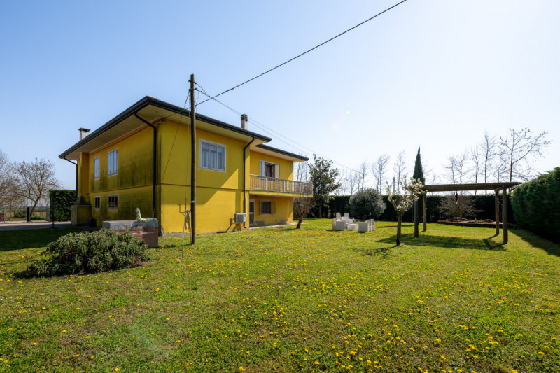 Siamo ai confini tra Monselice e Solesino, vivaio Salmaso Garden come riferimento per identificar...
