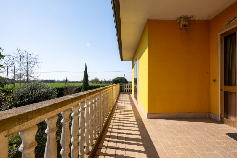 Siamo ai confini tra Monselice e Solesino, vivaio Salmaso Garden come riferimento per identificar...