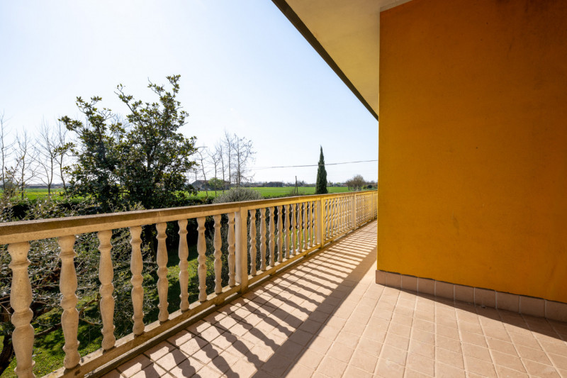 Siamo ai confini tra Monselice e Solesino, vivaio Salmaso Garden come riferimento per identificar...