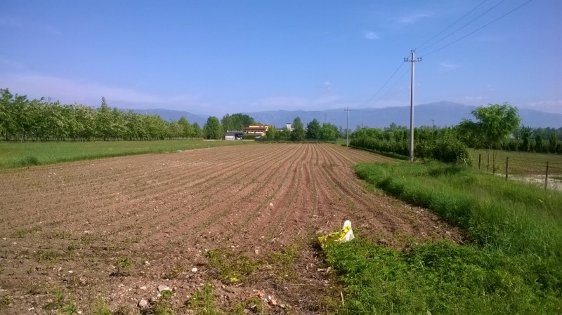 Scopri questa casa singola situata nel tranquillo comune di Tezze sul Brenta, zona Belvedere. Con...