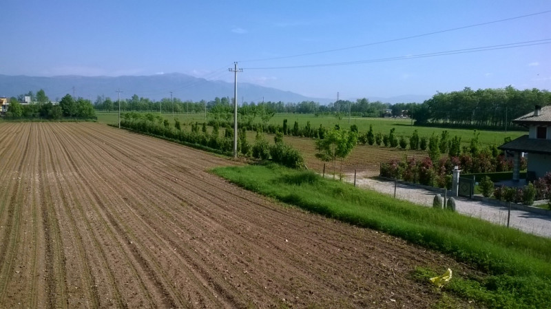 Scopri questa casa singola situata nel tranquillo comune di Tezze sul Brenta, zona Belvedere. Con...