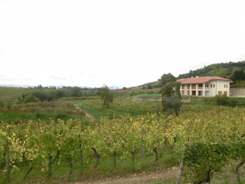 Manzano, località Rosazzo, casa singola di complessivi 860 mq. calpestabili, distribuita su 3 liv...