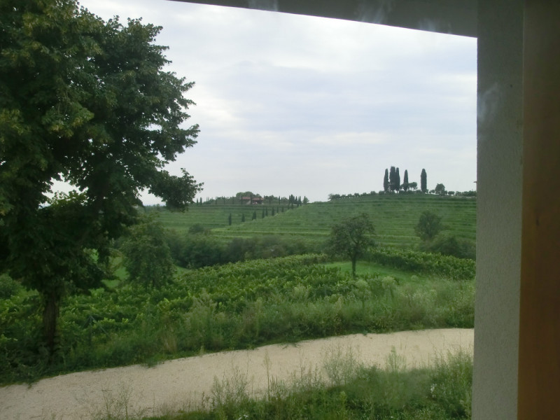 Manzano, località Rosazzo, casa singola di complessivi 860 mq. calpestabili, distribuita su 3 liv...