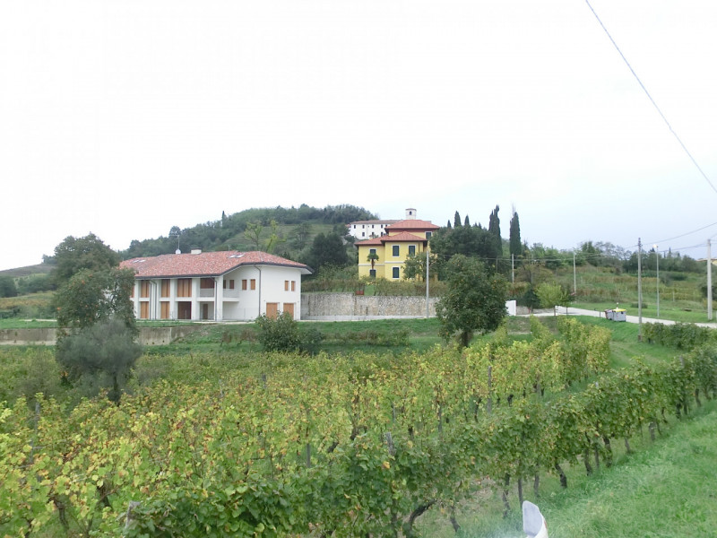 Manzano, località Rosazzo, casa singola di complessivi 860 mq. calpestabili, distribuita su 3 liv...