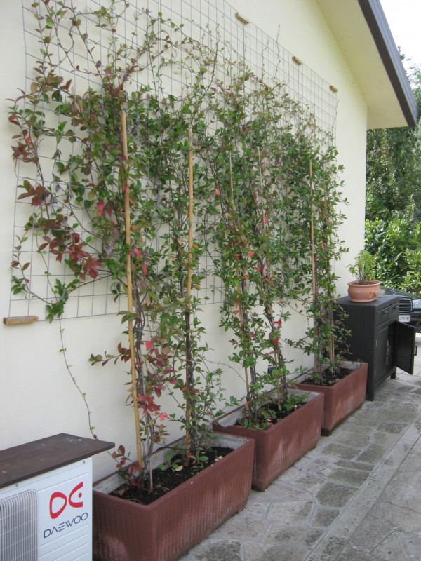 Situata nella prestigiosa zona collinare a Monteortone di Abano Terme, questa splendida villa d'e...