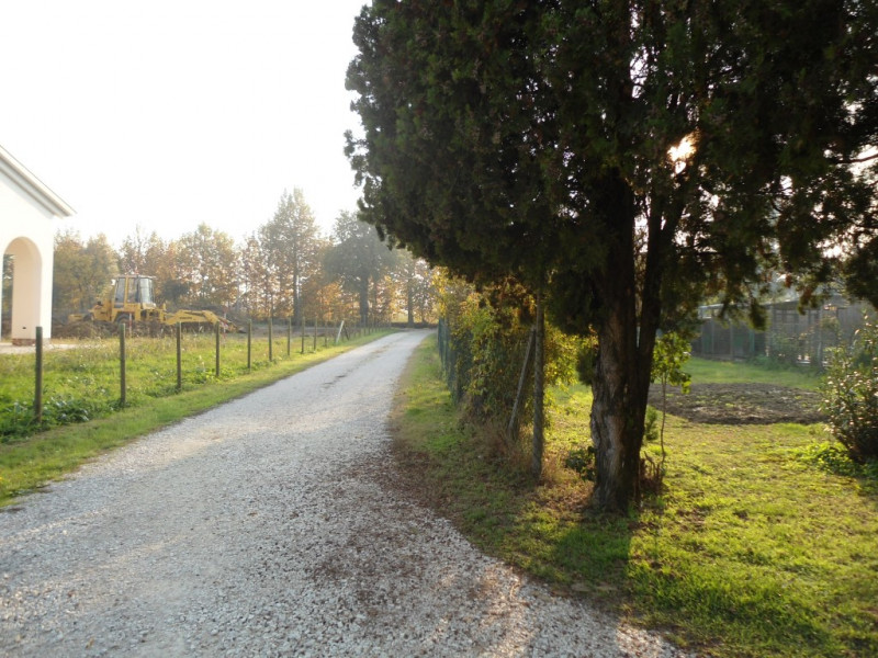 VENDITE Terreni a Cervarese Santa Croce &ndash; foto 1