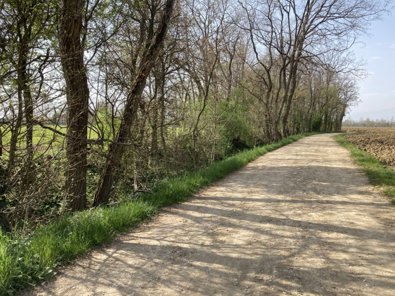 Vendesi 28 ettari di terreno agricolo, unico corpo, con grande fabbricato rurale da demolire e ri...