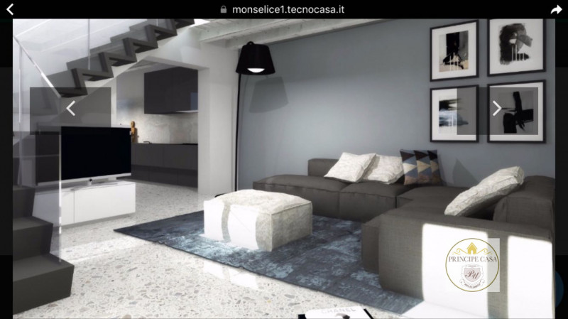 Monselice Vendita Appartamento più di 5 locali