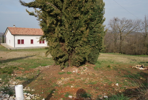 In posizione collinare e panoramica, proponiamo un lotto di terreno edificabile oggetto di piano ...